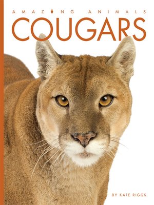 cover image of Cougars